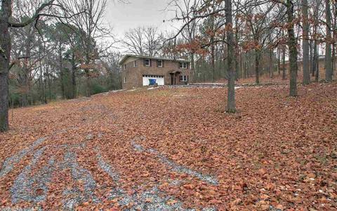 10 Cedar Hill Loop, Conway, AR 72032 photo 4