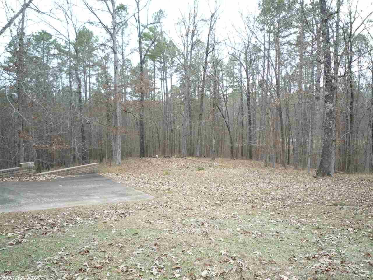 205 Crestwood Dr, Mount Ida, AR 71957 photo 25