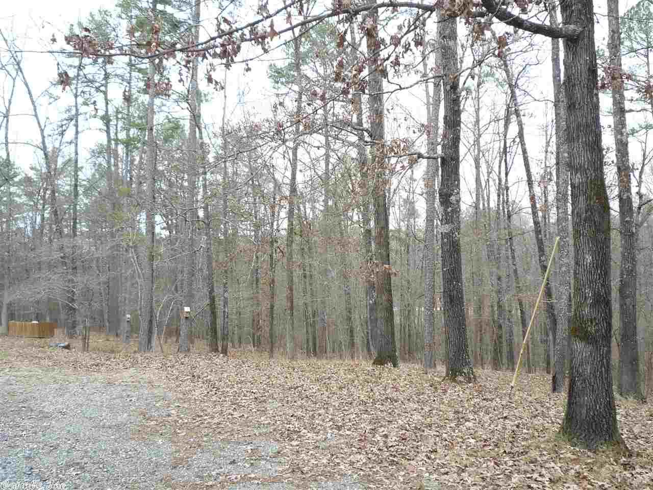 205 Crestwood Dr, Mount Ida, AR 71957 photo 29
