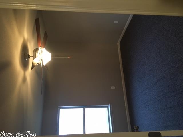 2725 Plateau Dr, Conway, AR 72032 photo 37