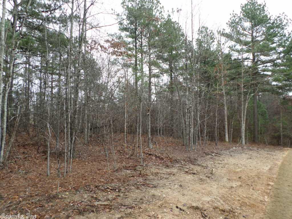 282 Reuben Dr, Alexander, AR 72002 photo 22