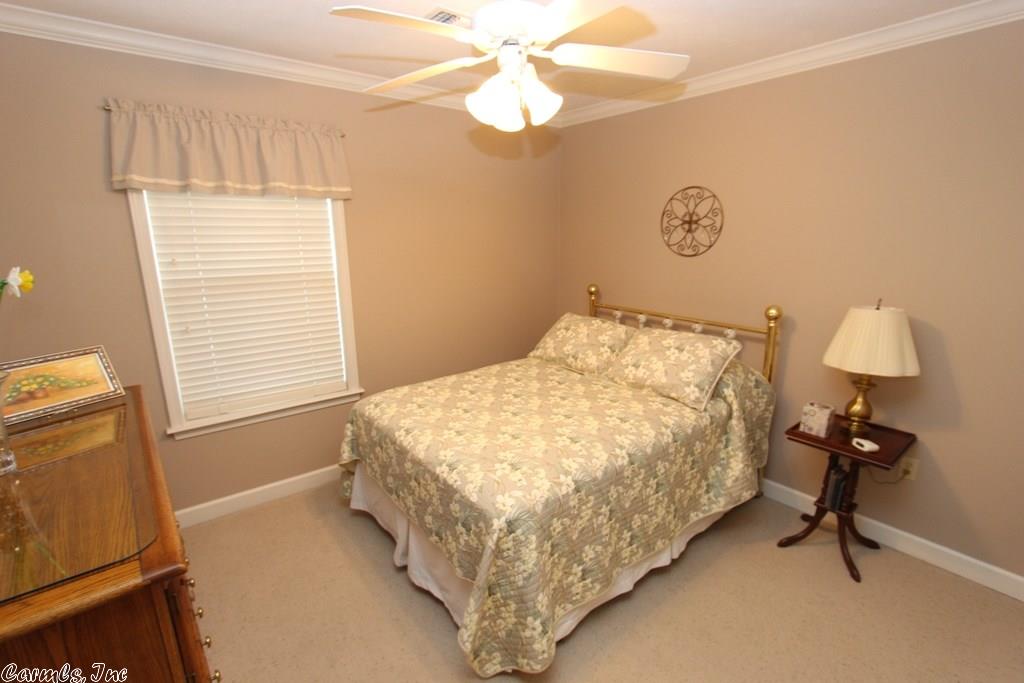910 Cadron Gap Rd, Conway, AR 72032 photo 24