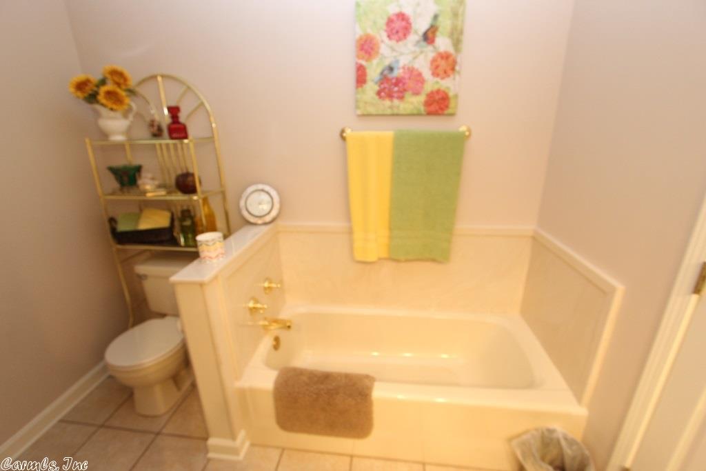 910 Cadron Gap Rd, Conway, AR 72032 photo 30