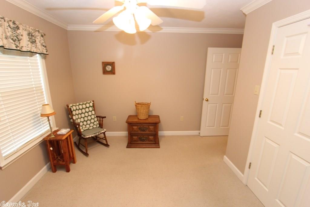910 Cadron Gap Rd, Conway, AR 72032 photo 28