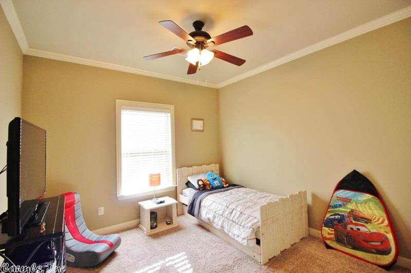 10910 Stonegate Dr, Alexander, AR 72002 photo 32