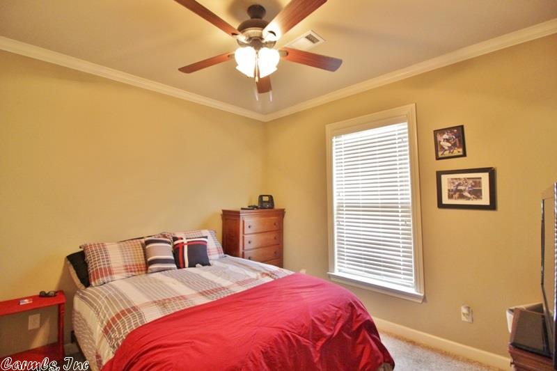 10910 Stonegate Dr, Alexander, AR 72002 photo 26