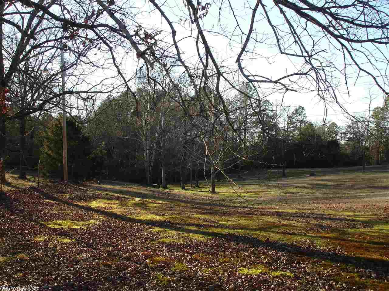103 W Simpson St, Mount Ida, AR 71957 photo 9