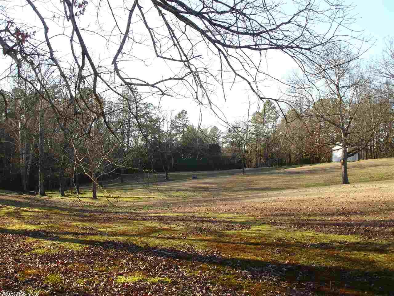 103 W Simpson St, Mount Ida, AR 71957 photo 8
