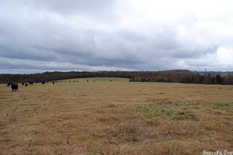 3251 Crossing Rd, Marshall, AR 72650 photo 3