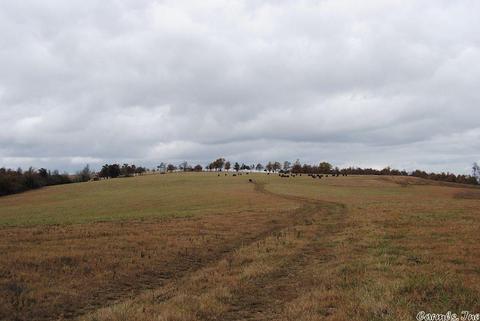 3251 Crossing Rd, Marshall, AR 72650 photo 9
