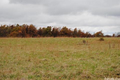 3251 Crossing Rd, Marshall, AR 72650 photo 16