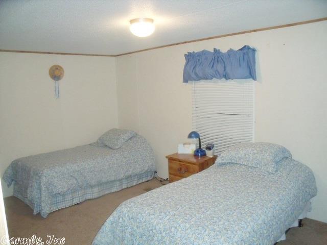 307 Wehmeyer Loop, Mountain Home, AR 72653 photo 7