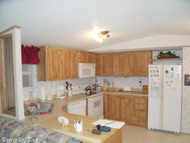307 Wehmeyer Loop, Mountain Home, AR 72653 photo 3