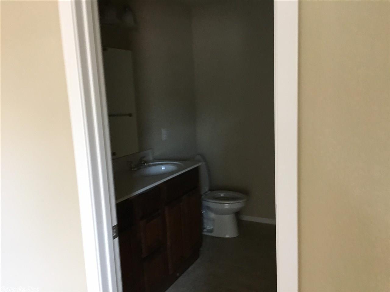 6320 Lena Dr, Alexander, AR 72002 photo 10