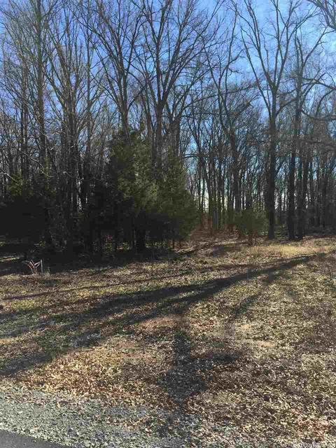 lot9 Southern Oaks, Conway, AR 72032 photo 4