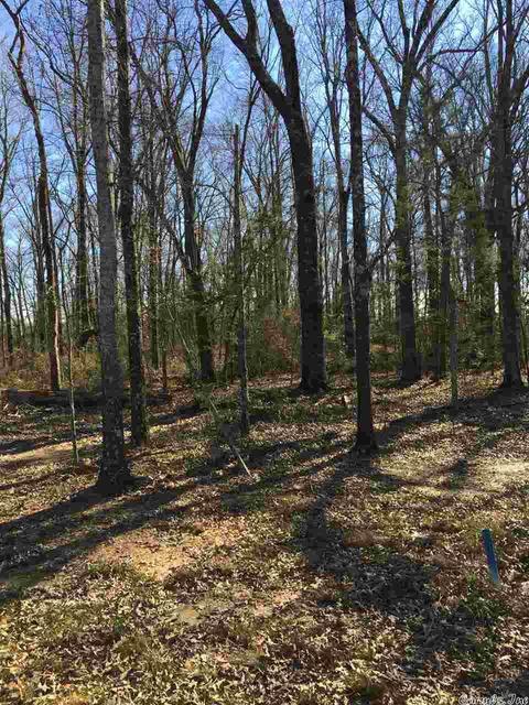 lot9 Southern Oaks, Conway, AR 72032 photo 1