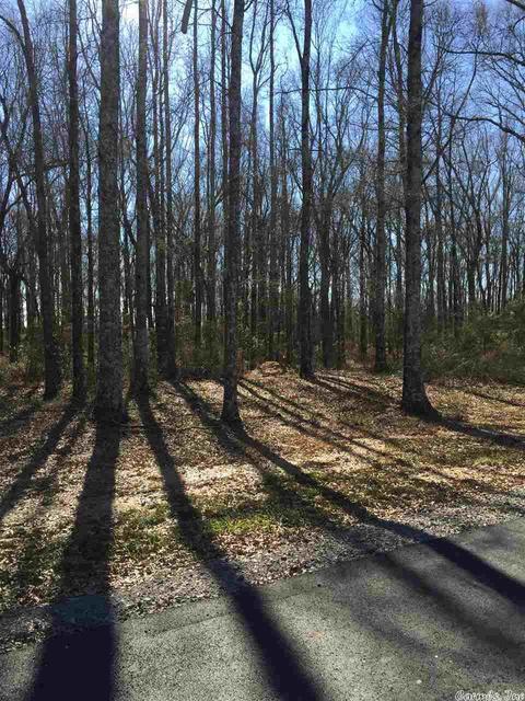lot9 Southern Oaks, Conway, AR 72032 photo 3