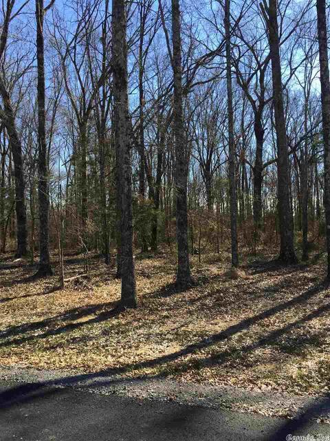 lot9 Southern Oaks, Conway, AR 72032 photo 2