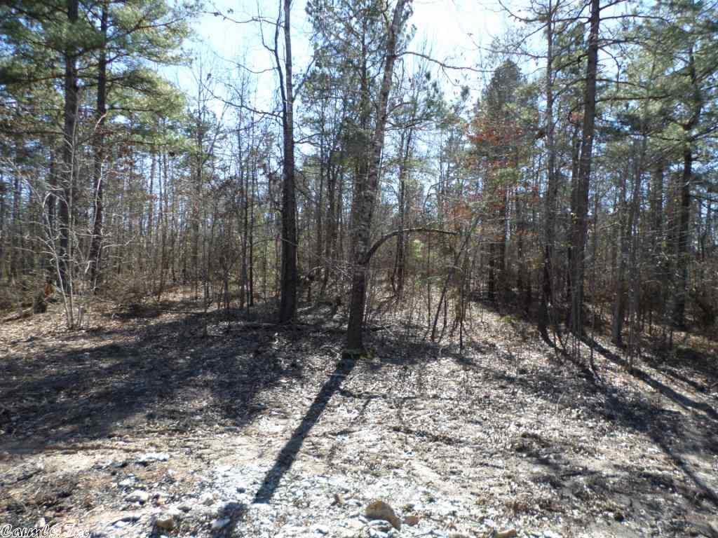 265 Reuben Dr, Alexander, AR 72002 photo 31
