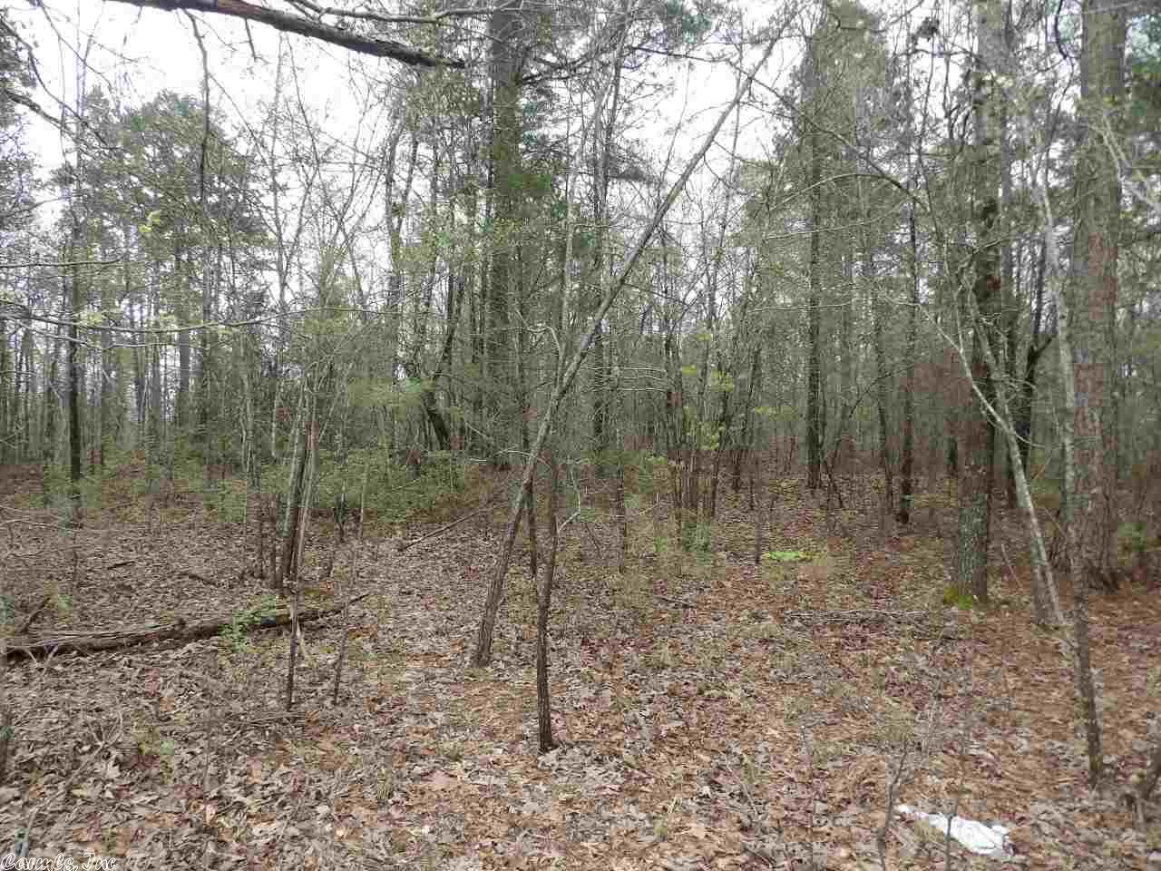 265 Reuben Dr, Alexander, AR 72002 photo 30