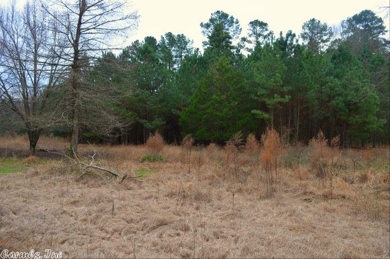 255 Garner Mtn Rd, Amity, AR 71921 photo 5