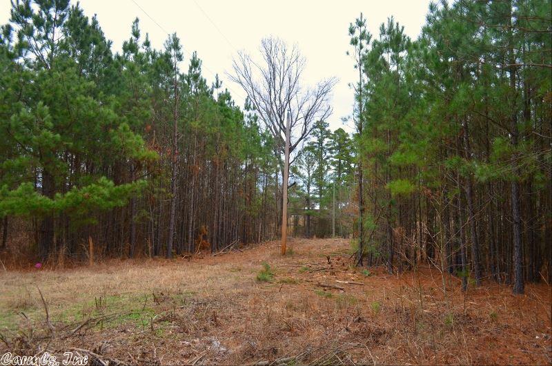 255 Garner Mtn Rd, Amity, AR 71921 photo 4