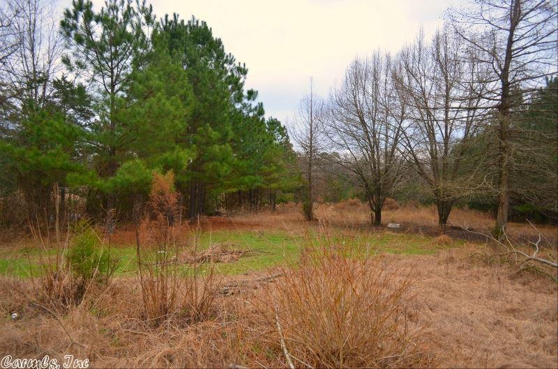 255 Garner Mtn Rd, Amity, AR 71921 photo 3