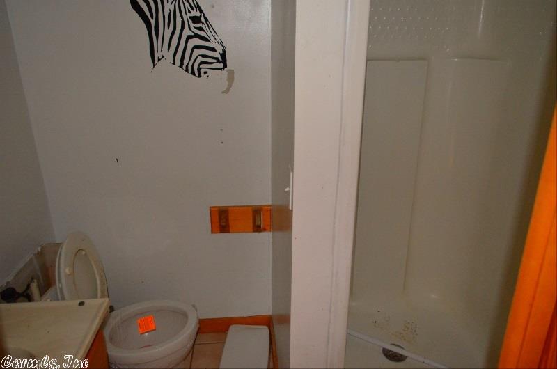 255 Garner Mtn Rd, Amity, AR 71921 photo 30