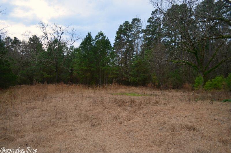 255 Garner Mtn Rd, Amity, AR 71921 photo 8