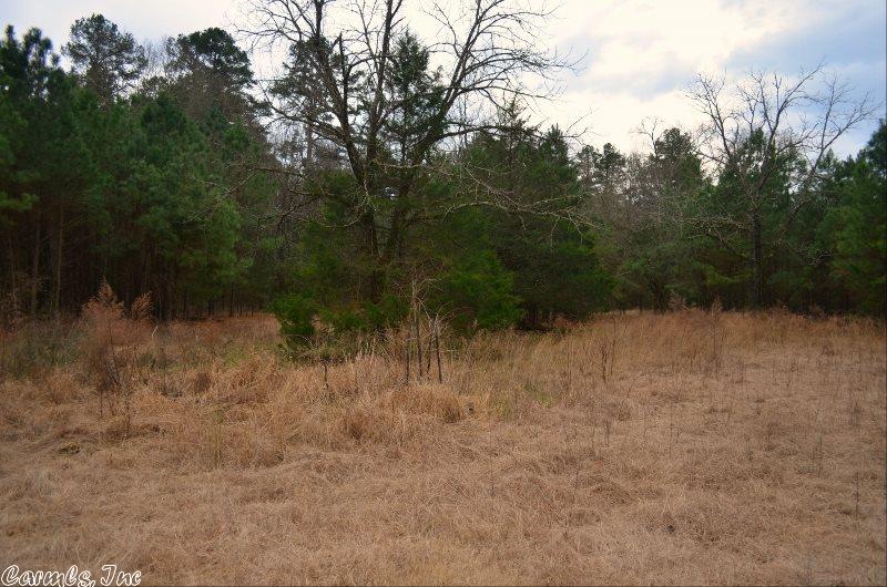 255 Garner Mtn Rd, Amity, AR 71921 photo 6