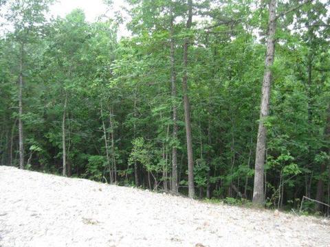 8610 Skylook Mtn, Alexander, AR 72002 photo 14