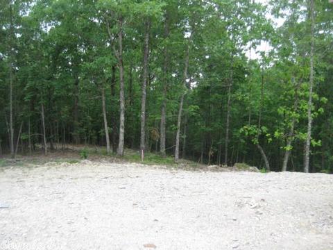 8610 Skylook Mtn, Alexander, AR 72002 photo 13
