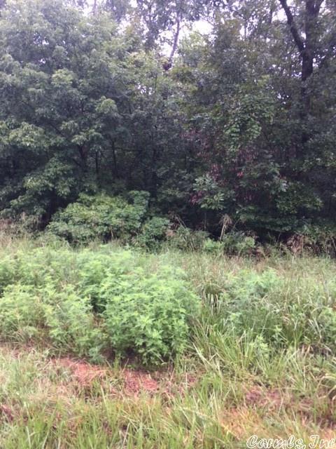 2630 Collins Dr, Conway, AR 72034 photo 1