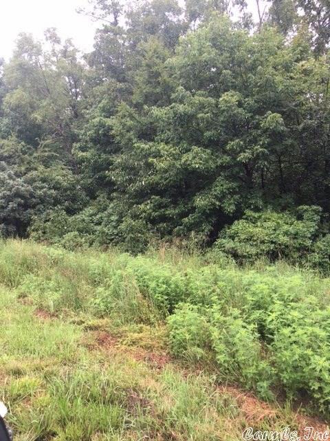 2630 Collins Dr, Conway, AR 72034 photo 2