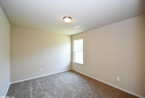 6309 Lena Dr, Alexander, AR 72002 photo 27
