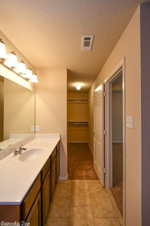 6309 Lena Dr, Alexander, AR 72002 photo 20