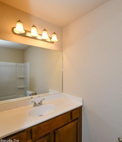 6309 Lena Dr, Alexander, AR 72002 photo 30