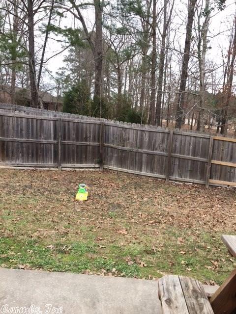 202 Wild Mango Cv, Benton, AR 72015 photo 33