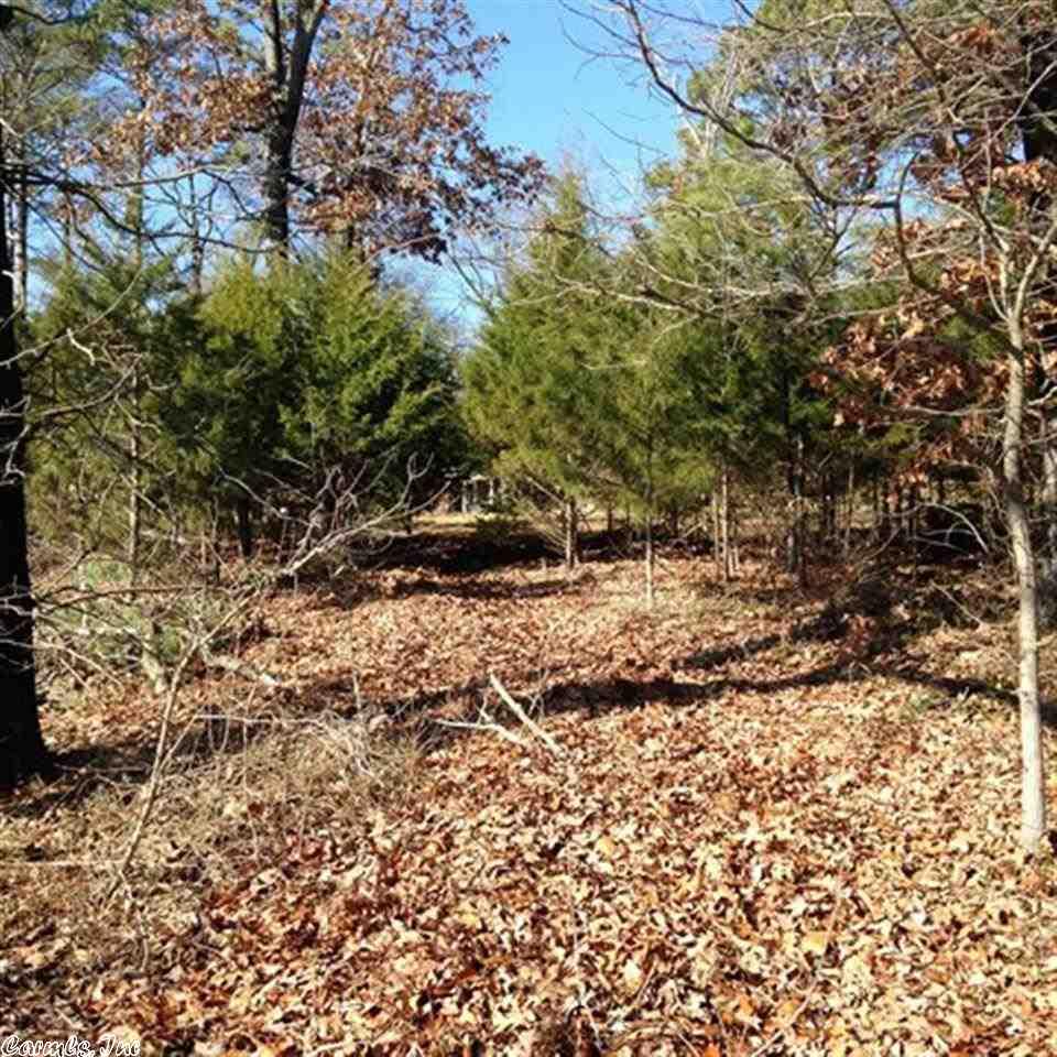 2636 Hwy 330 E, Choctaw, AR 72031 photo 29
