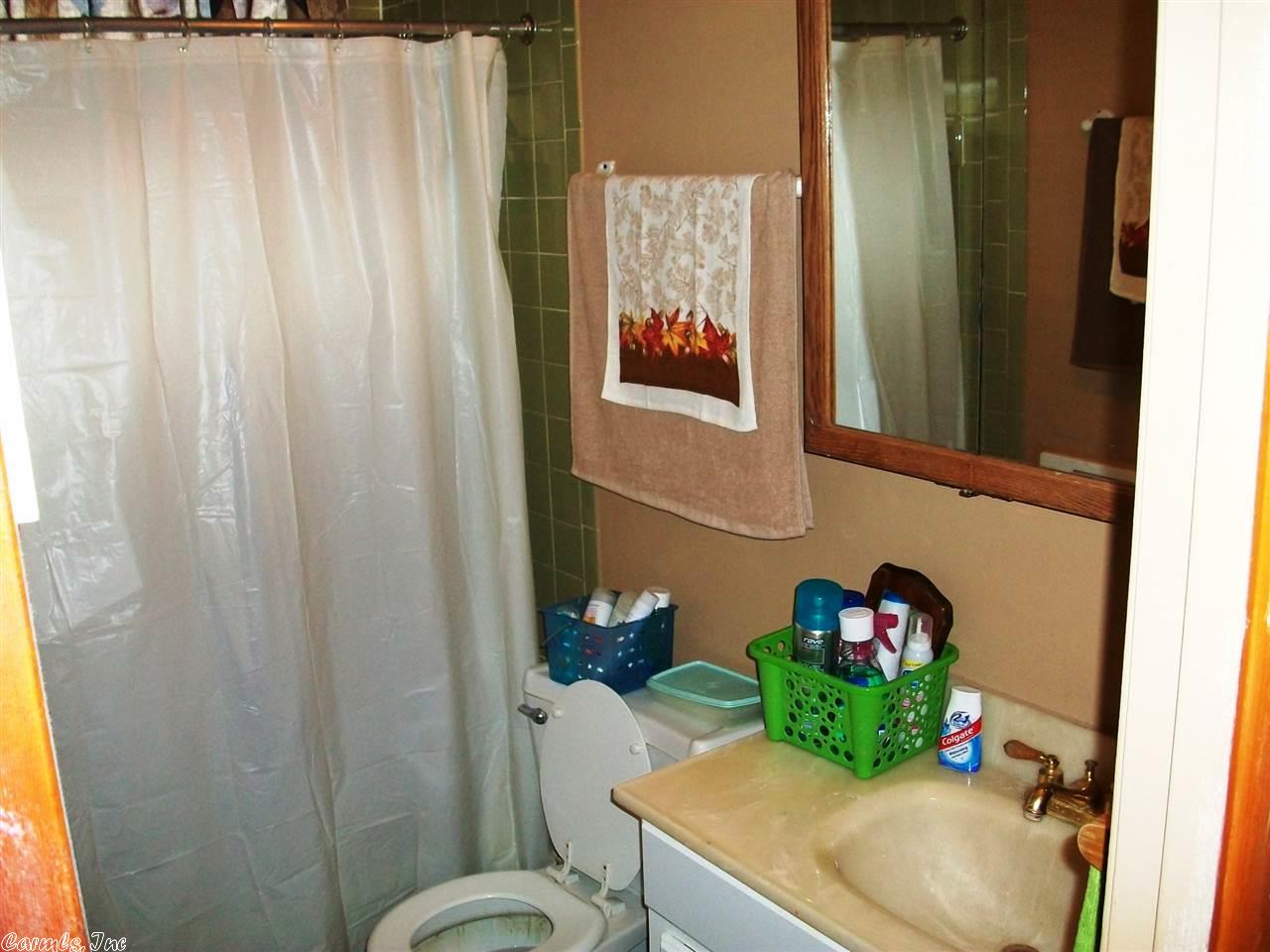 36 Diane, Ash Flat, AR 72513 photo 13