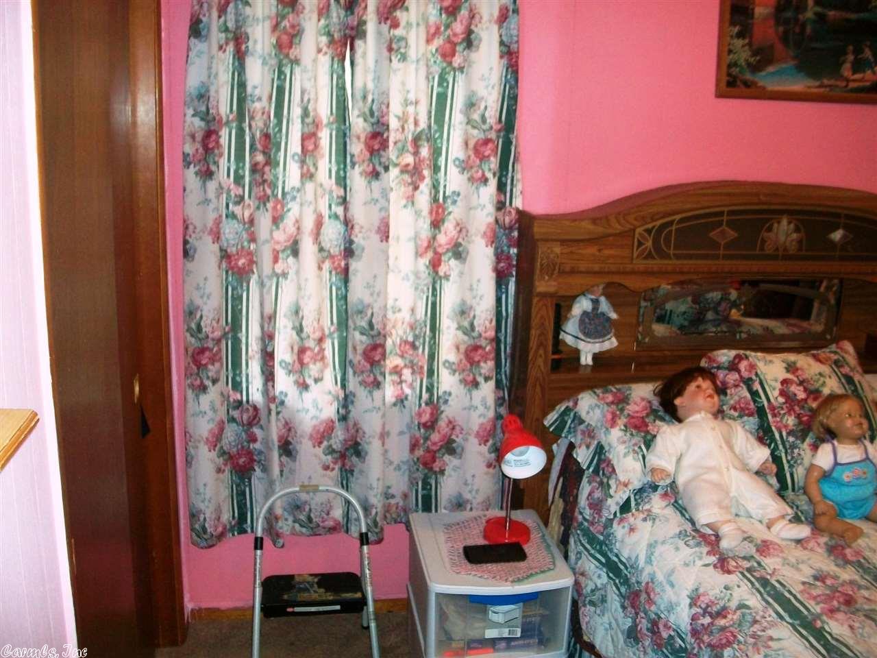 36 Diane, Ash Flat, AR 72513 photo 14