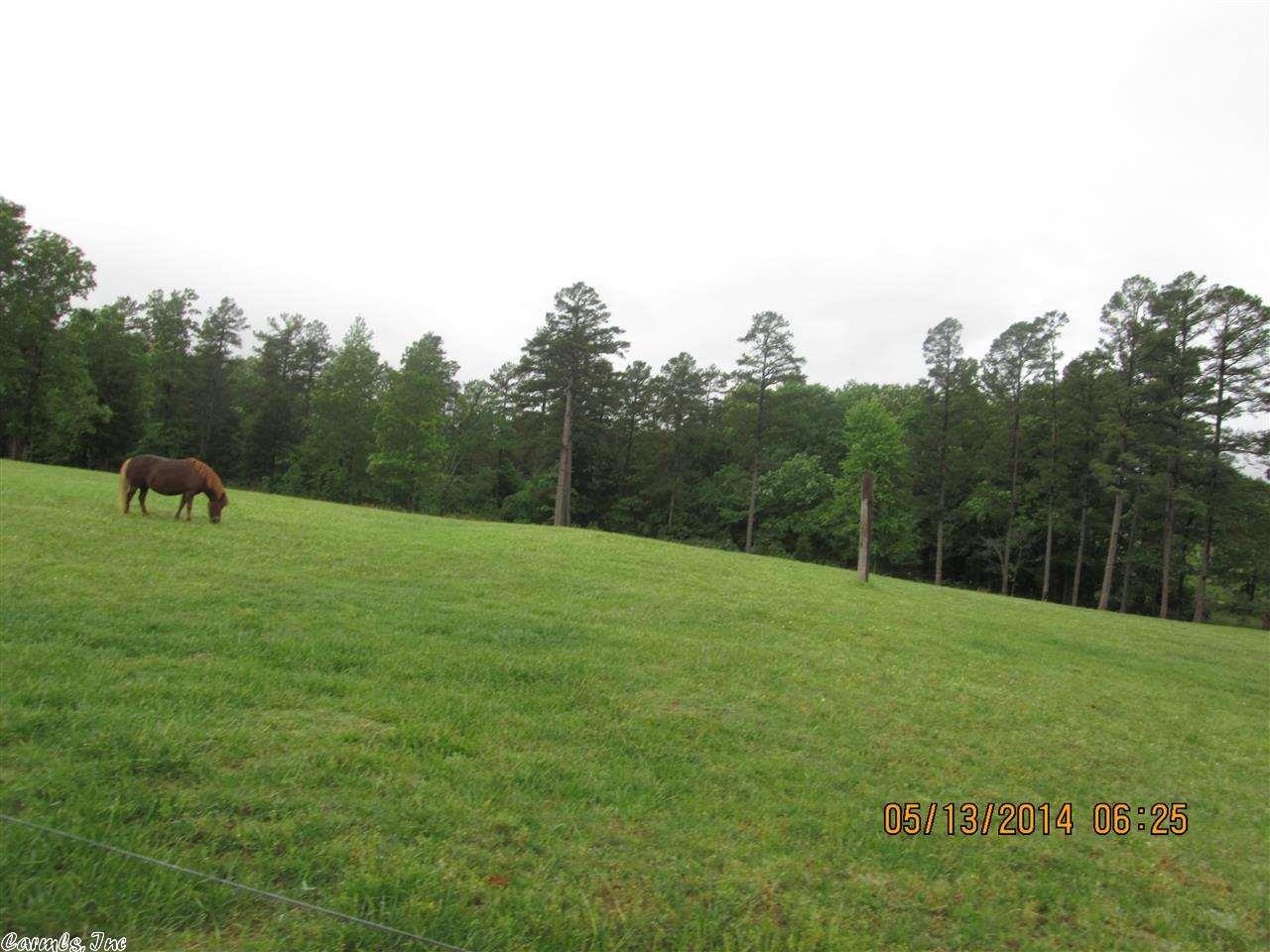 108 Vines Dr, Melbourne, AR 72556 photo 37