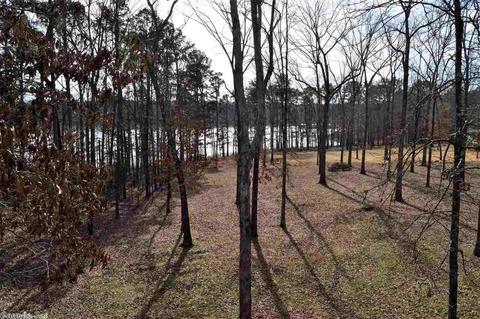 210 Silver Shores Ln, Drasco, AR 72530 photo 29