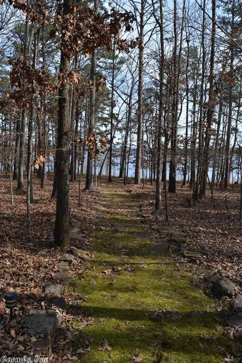 210 Silver Shores Ln, Drasco, AR 72530 photo 30