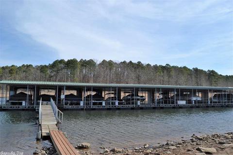 210 Silver Shores Ln, Drasco, AR 72530 photo 3