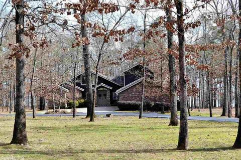 210 Silver Shores Ln, Drasco, AR 72530 photo 38