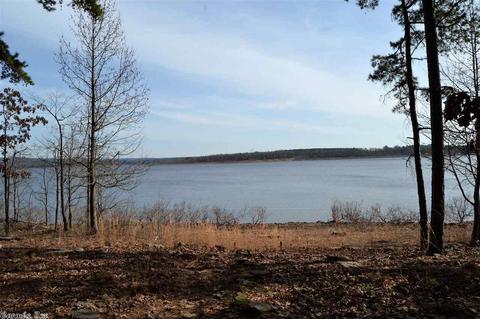210 Silver Shores Ln, Drasco, AR 72530 photo 37