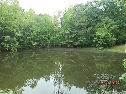 5308 Pointview Rd, Benton, AR 72019 photo 15