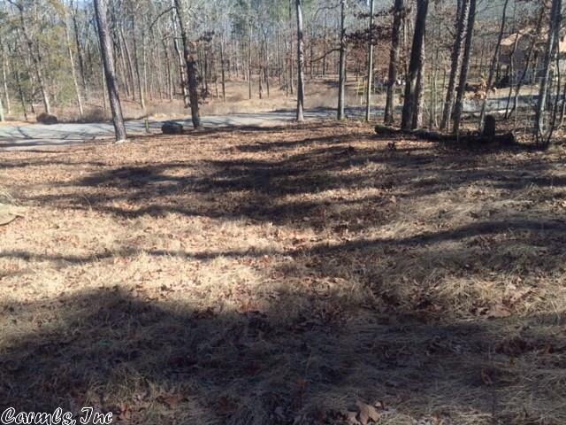 187 Lakeside Dr, Higden, AR 72067 photo 19