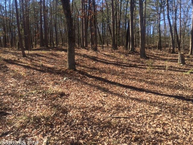 187 Lakeside Dr, Higden, AR 72067 photo 20